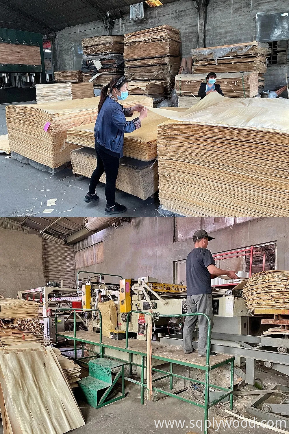 9/12/18mm Melamine Film Faced Poplar Pine Birch Marine Laminated Veneer Shuttering Plywood